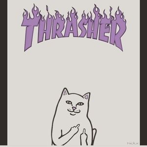 Meet your Posher, Jordin